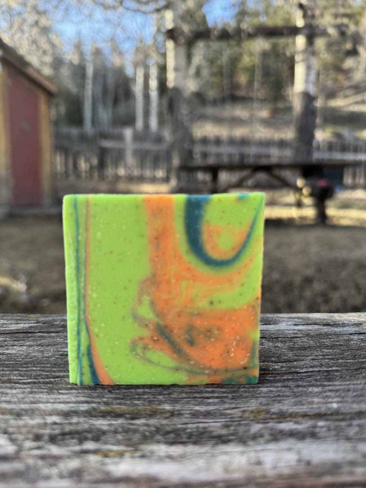 Citrus & Apricot (Exfoliation Bar)